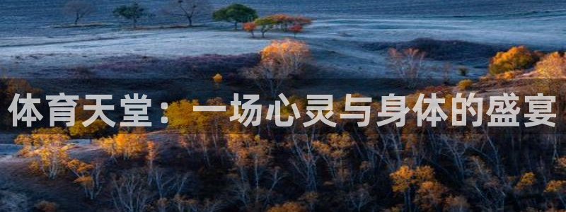 体育天堂：一场心灵与身体的盛宴