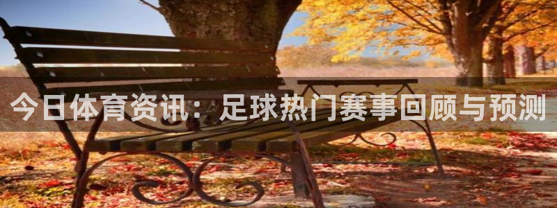 今日体育资讯：足球热门赛事回顾与预测