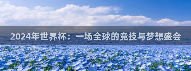 2024年世界杯：一场全球的竞技与梦想盛会