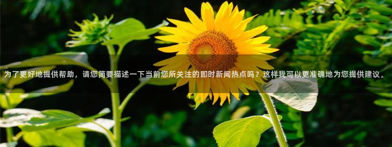 为了更好地提供帮助，请您简要描述一下当前您所关注的即时新闻热点吗？这样我可以更准确地为您提供建议。