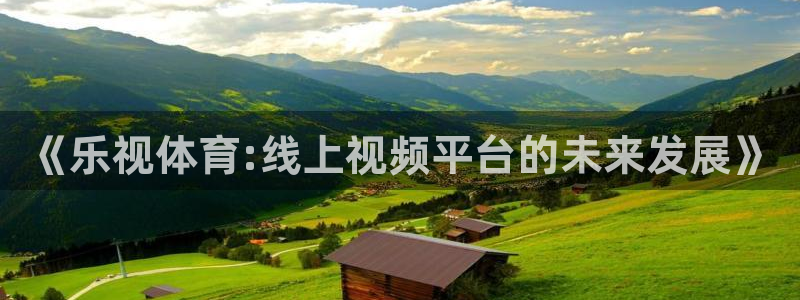 《乐视体育:线上视频平台的未来发展》
