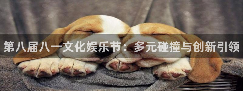 第八届八一文化娱乐节：多元碰撞与创新引领