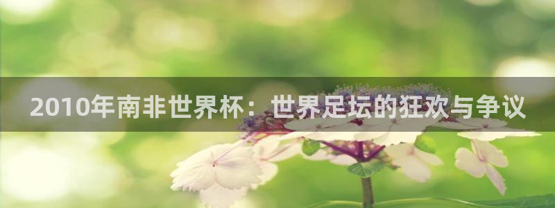 2010年南非世界杯：世界足坛的狂欢与争议
